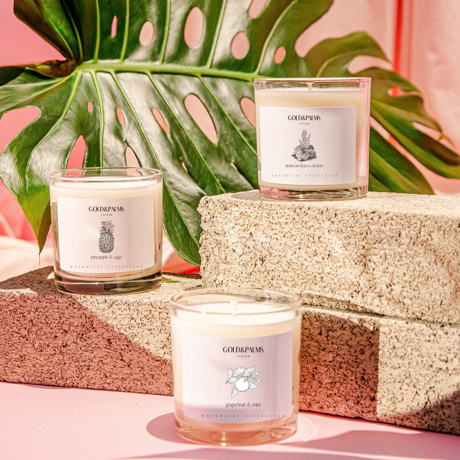 Botanical garden candle collection with tropical background 